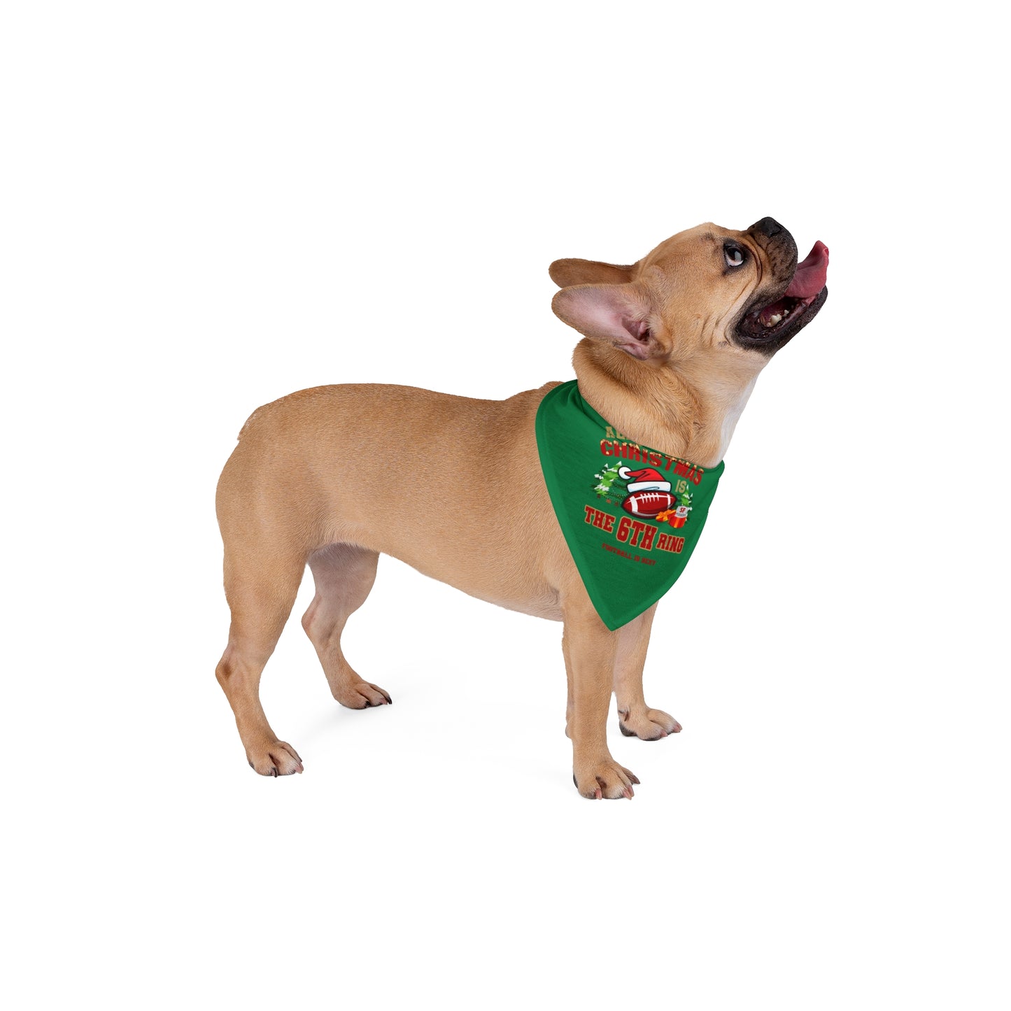 All I Want for Christmas is the 6TH Ring Pet Bandana - Green