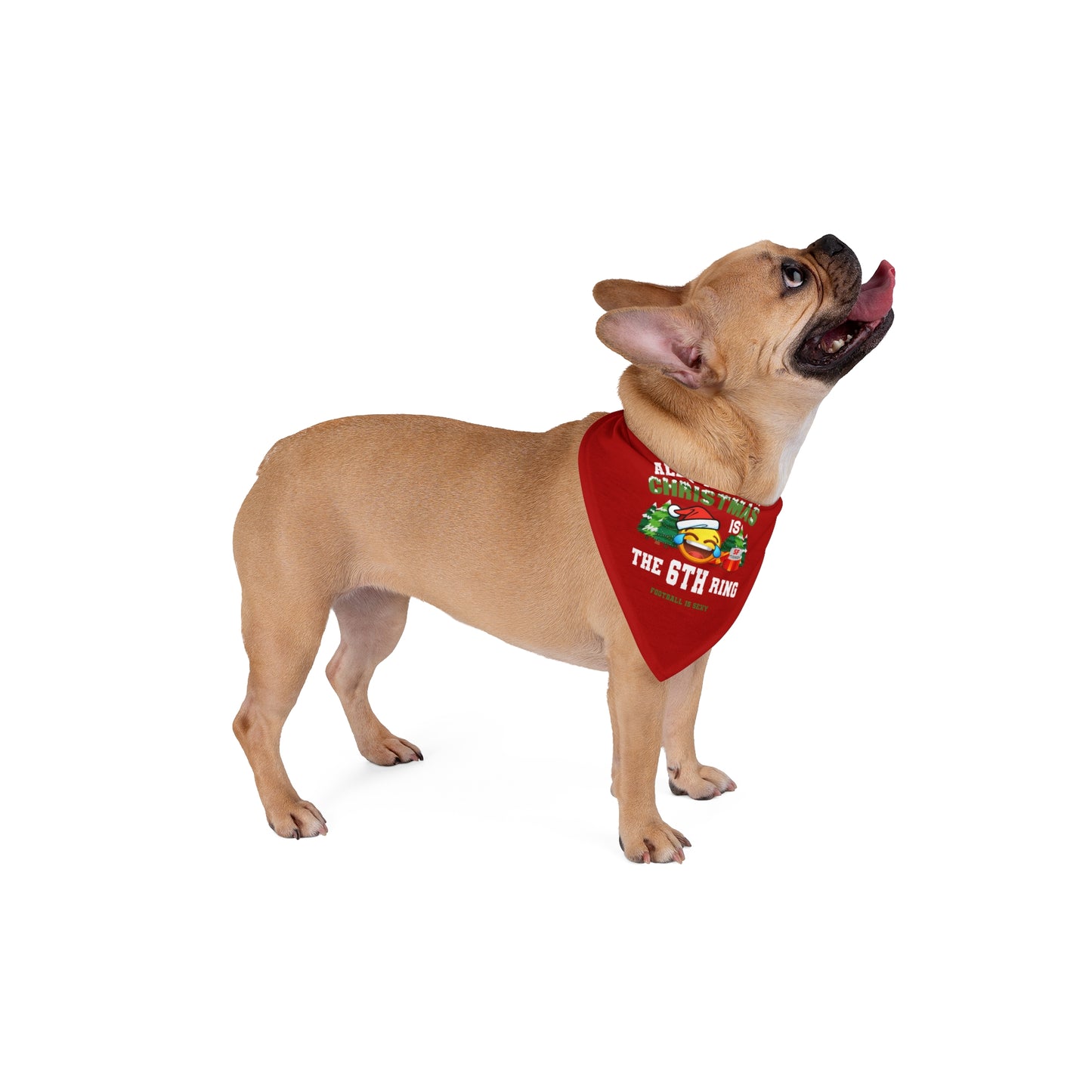 All I Want for Christmas is the 6TH Ring Pet Bandana - Red